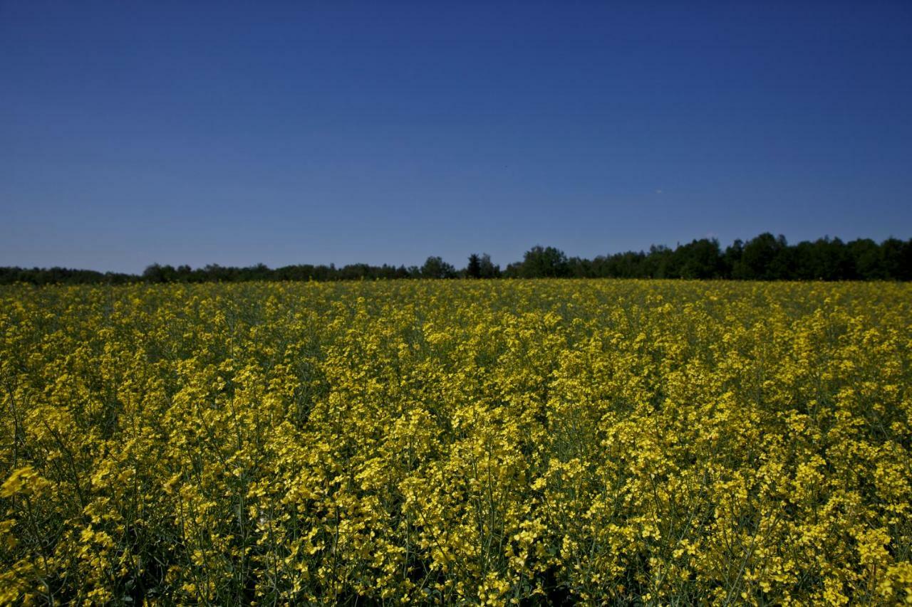 Agroturystyka Wichrowe Wzgorze Osiek  エクステリア 写真